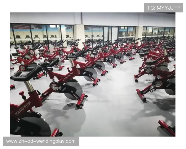 进口健身器材品牌排行榜：进口健身器材品牌排名与推荐