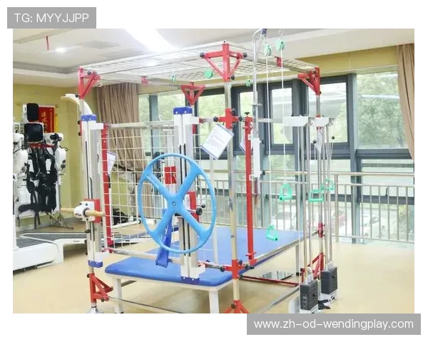 高龄群体功能性训练器械创新方向